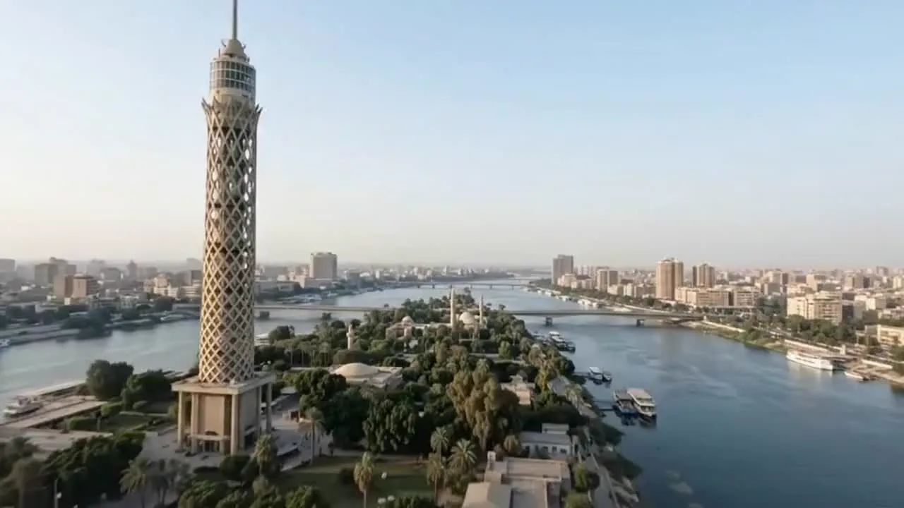 عرض خدمات برو أيديا مصر التكنولوجية لعملاء قطر